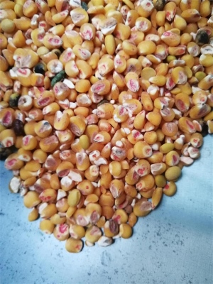 去新91视频网站药种子包衣外皮去皮机